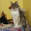 Отзыв от Наталия Грачева